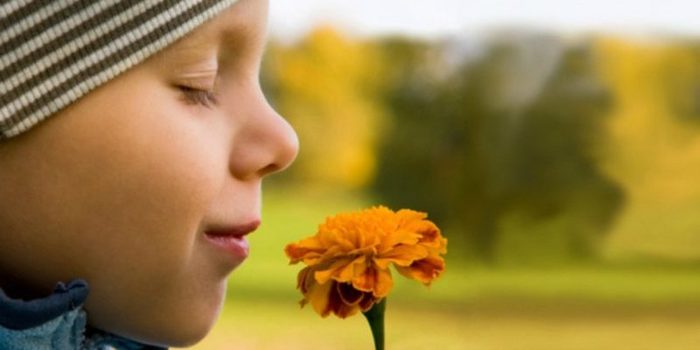 Si tu olfato falla, te quedan menos de cinco años de vida (según la Ciencia)