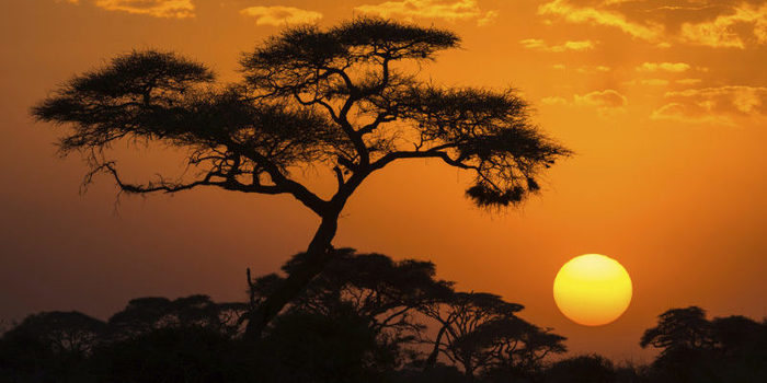 Pronto habrá un nuevo continente en la Tierra 95 Merca2.es Todo esto pasará dentro de muchísimo tiempo, pero hay que esperar cambios pronto