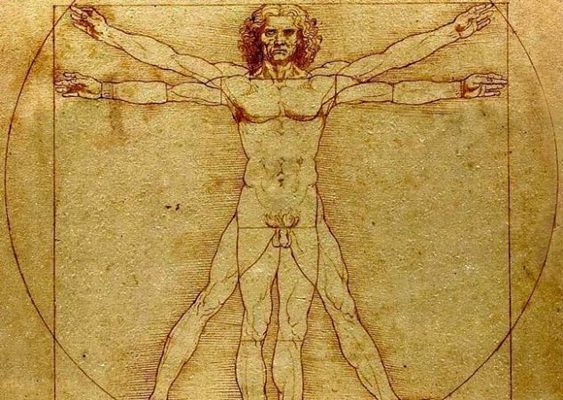 porporcion del cuerpo