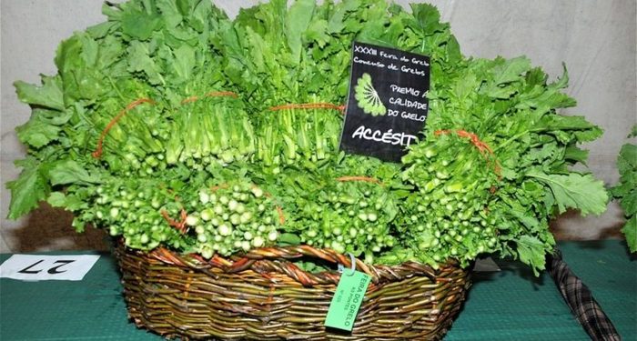 Grelos feira google translate fallo fail e1489407476579 Merca2.es