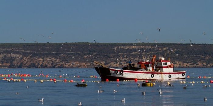 almadrabaBarbate e1490884640918 Merca2.es