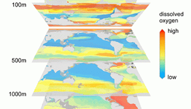 Las zonas muertas de los océanos existen, y esto hay en ellas 72 Merca2.es Las zonas muertas