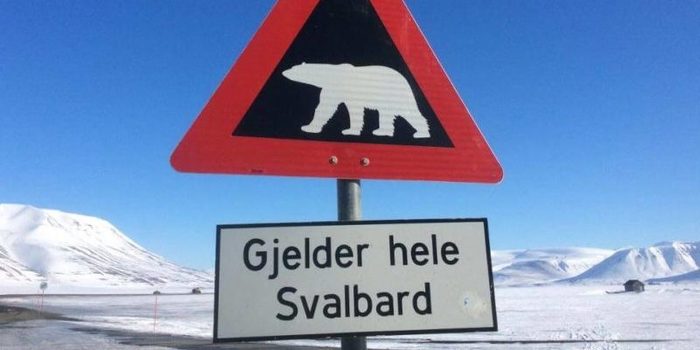 Lo último en "lujo", agua de iceberg embotellada y a 94 euros la unidad 12 Merca2.es Luxury Iceberg Water by Harrods Come from a Real Glacier to Your Home 6 e1491249684653 Merca2.es