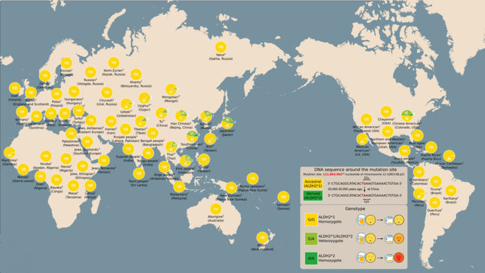 Por qué hay gente que se pone roja cuando bebe alcohol 77 Merca2.es roja