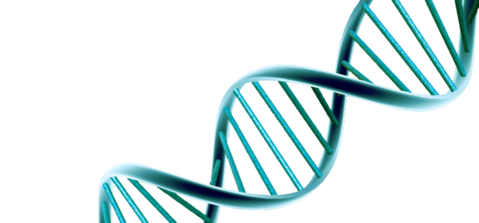 Conceptos científicos