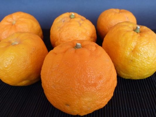 5 alimentos probados científicamente que previenen la flacidez de estómago 14 Merca2.es flacidez de estomago