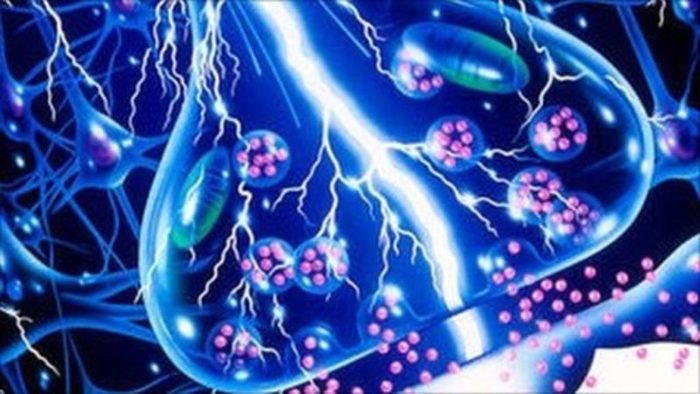 ¿Existe un vínculo entre la epilepsia y las experiencias religiosas? 37 Merca2.es experiencias religiosas