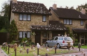 Diez casas 'de película' que estuvieron a la venta y ganaron un pastizal 24 Merca2.es fotonoticia 20160921140110 640 Merca2.es