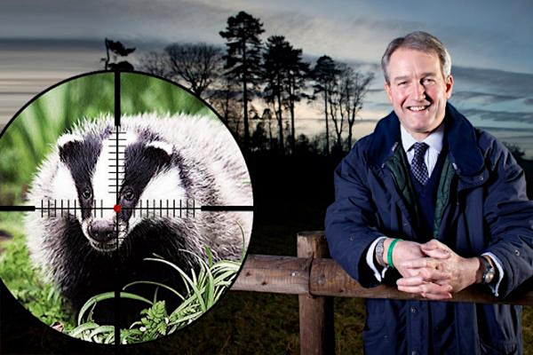 El Tejón en peligro por una falsa ciencia 78 Merca2.es Tejon