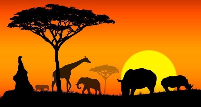 Pronto habrá un nuevo continente en la Tierra 92 Merca2.es ¿Cómo se llegó a tales hallazgos?