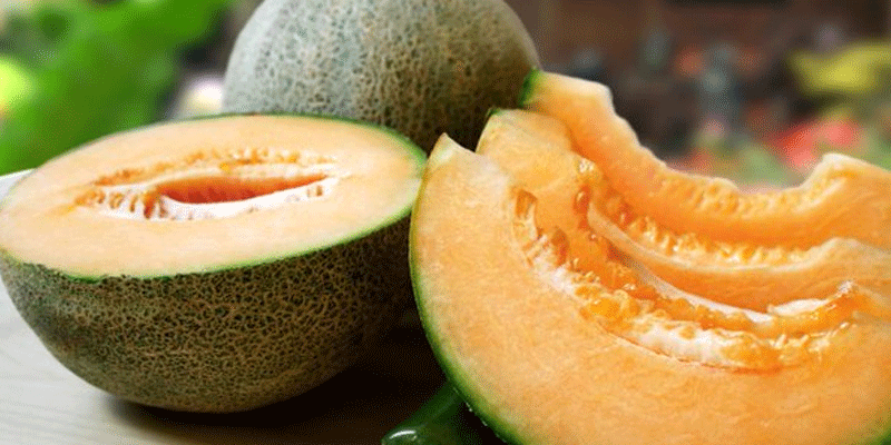 melón