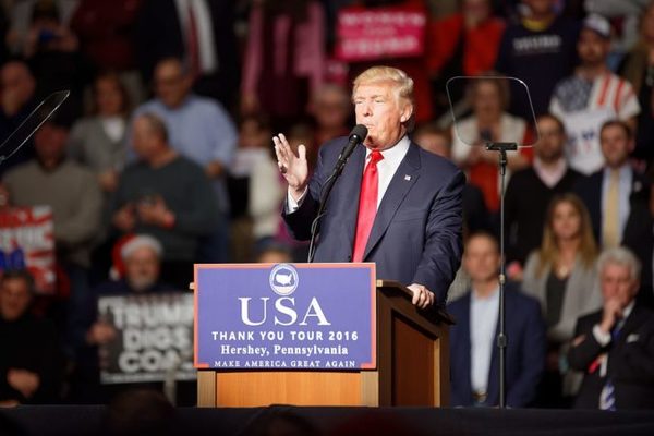 "Documentos manipulados Trump victoria"