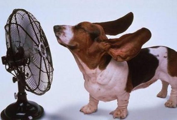 10 trucos para dormir bien si no tienes aire acondicionado 10 Merca2.es mejores ventiladores baratos 2015 Merca2.es