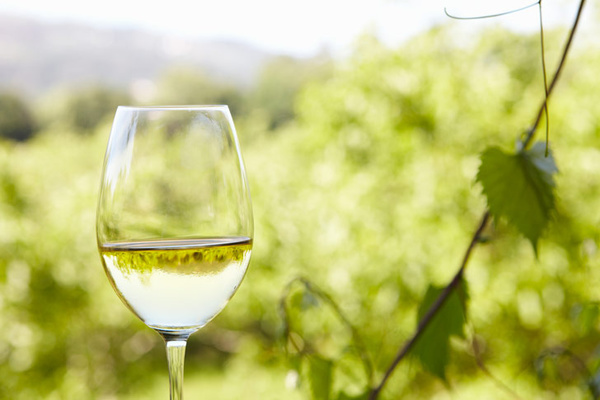 vinos excepcionales