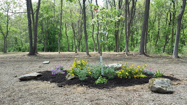 ¿Cómo quieres que te entierren? 71 Merca2.es 20150510 135551 Merca2.es