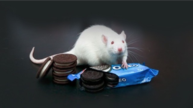 Por qué para tu cerebro las galletas Oreo son tan adictivas como la cocaína 11 Merca2.es 4B3 Merca2.es