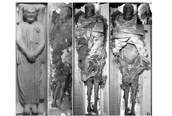 Tipos de muerte rápida por veneno en la edad antigua 54 Merca2.es Medieval warlord mummy Merca2.es