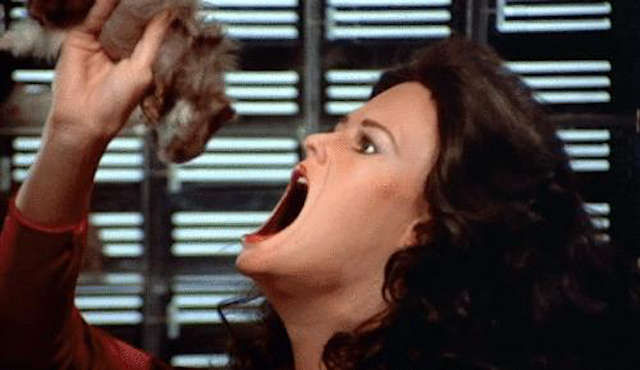 Mallorca Informa recoge la actualidad de la isla