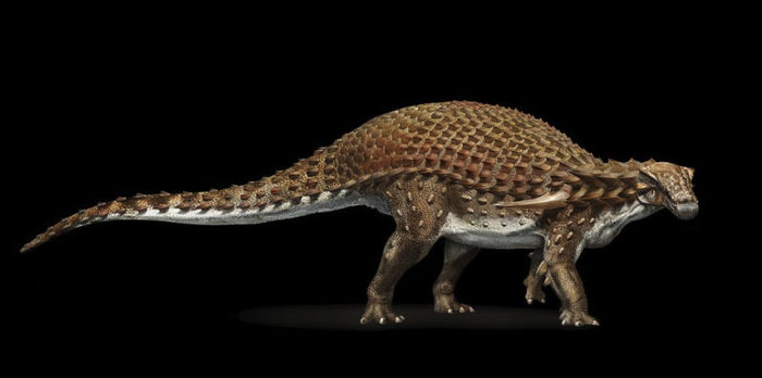 ¿Un dinosaurio casi incorrupto? 4 Merca2.es nodosaurio2 Merca2.es