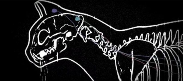 photo 216182 b8a0cabd9 Merca2.es