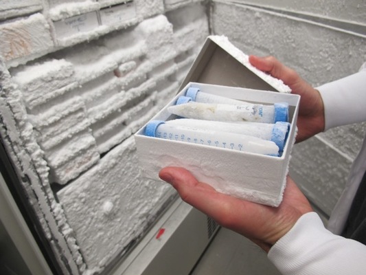 Un científico de Harvard está estudiando las heces de los atletas de élite 2 Merca2.es caquitas Merca2.es