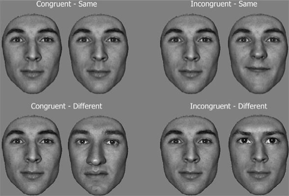 fpsyg 03 00604 g001 Merca2.es