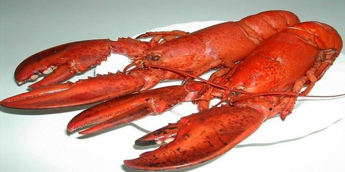 La receta de Chicote para hacer un arroz con bogavante de escándalo 56 Merca2.es bogavante Merca2.es