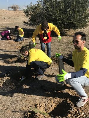 DHL se adhiere al programa Madrid Compensa