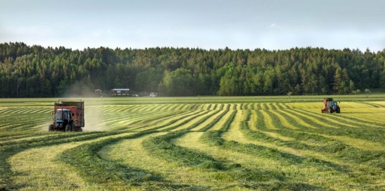 España, preocupada por los efectos del ‘brexit’ en la nueva PAC