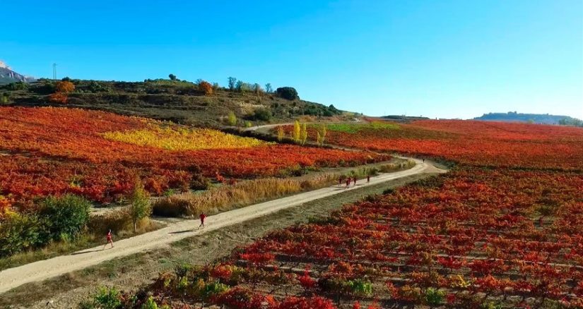 Ruta por los pueblos y la gastronomía de la Rioja Alavesa