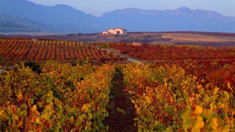 Ruta de los Dólmenes de la Rioja Alavesa