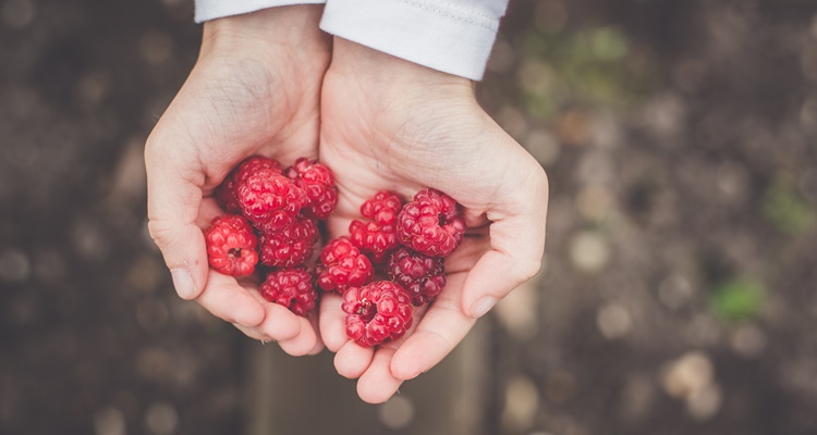 Estas son las verduras que ayudan a parar el cáncer 7 Merca2.es frutos rojos