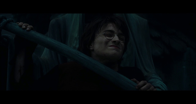 Los Mortífagos que Harry Potter tuvo que hacer frente