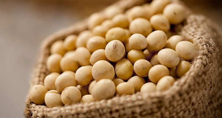 Calorias de las legumbres la soja