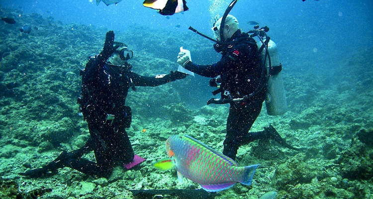 Deportes acuaticos
