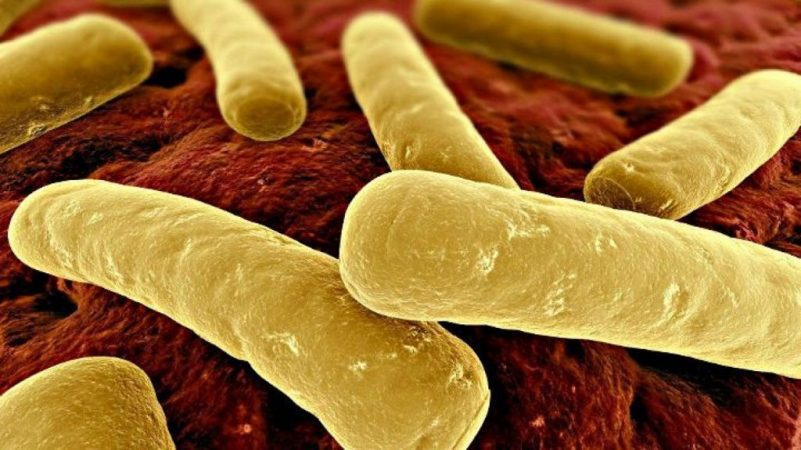 Alerta: El atún de DIA contaminado con la toxina botulínica 3 Merca2.es DIA atún toxina botulínica