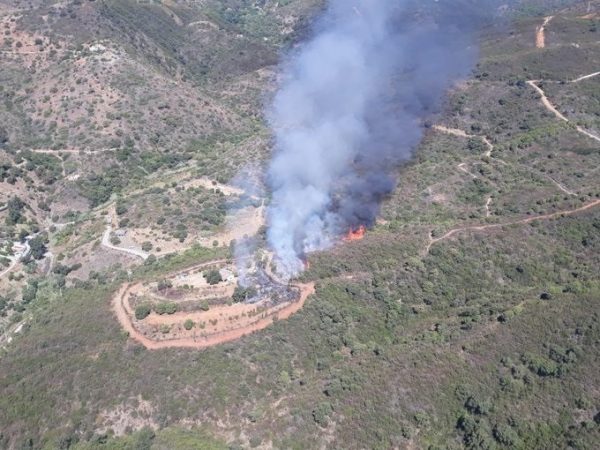 Cuando los montes son rentables: la realidad económica de un incendio 1 Merca2.es Incendio de Estepona