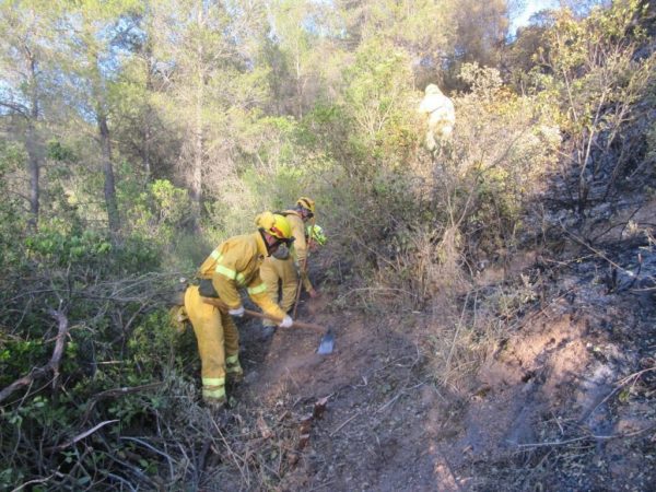 Cuando los montes son rentables: la realidad económica de un incendio 3 Merca2.es abores de prevencion incendios forestales