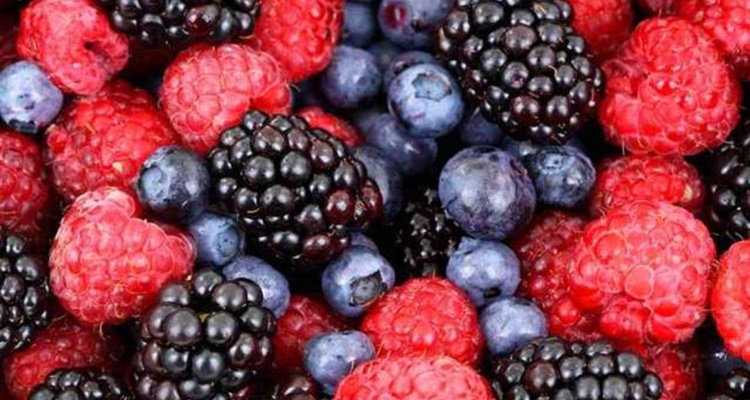 Los frutos rojos son potentes antiinflamatorios