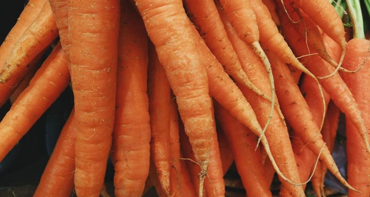 Origen de las zanahorias