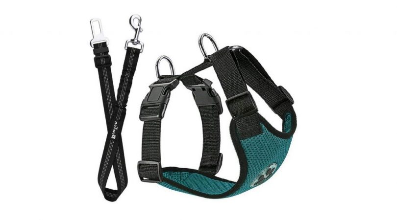 Aernés de seguriad para mascota