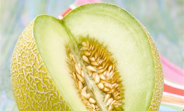 Las claves para acertar con tu melón 1 Merca2.es melon 768x464 324a3b72 Merca2.es