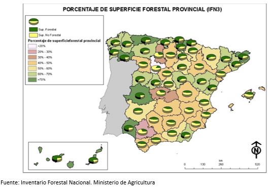 El Institut Agrícola defiende una gestión activa de los montes 1 Merca2.es CapturaMasaForestal Merca2.es