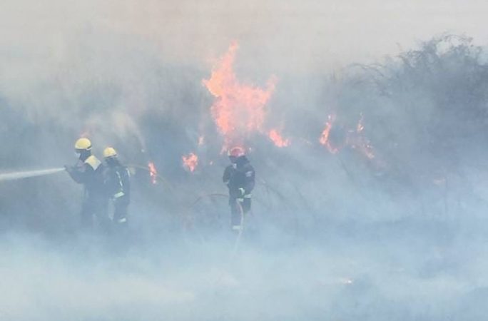 Arde la gestión de los montes en Madrid: bomberos forestales en pie de guerra 2 Merca2.es Extincion personal Laboral Publico de vigilancia y Extincion
