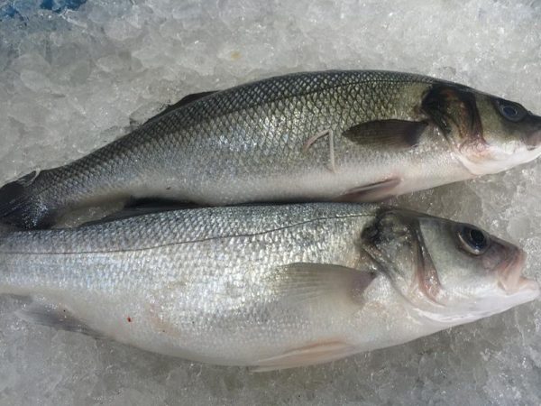 Estos pescados no tienen anisakis ¡y puedes comerlos! 3 Merca2.es pescados