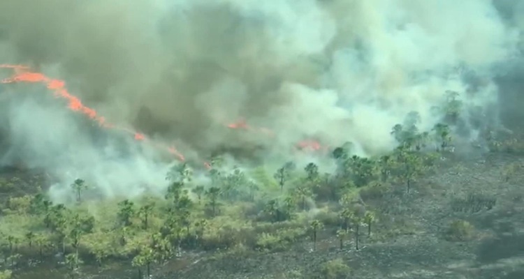 Las consecuencias inmediatas