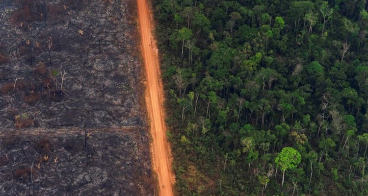 Una zona del Amazonas que tardara en recuperarse