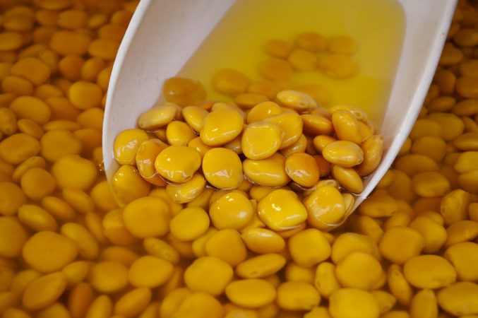 Vegetarianos y veganos: las proteínas alternativas a consumir carne 1 Merca2.es veganos vegetarianos carne