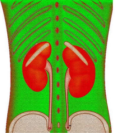 Estas son las enfermedades que pueden desarrollar los diabéticos 5 Merca2.es diabéticos