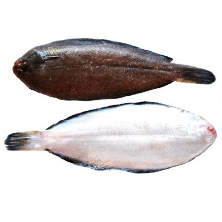 Estos pescados no tienen anisakis ¡y puedes comerlos! 8 Merca2.es anisakis